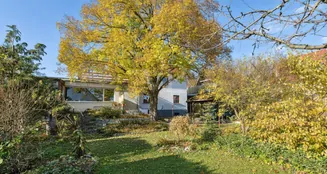 von_poll_real_estate_property_25214017_image_2