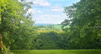 von_poll_real_estate_property_25214718_image_10