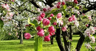 von_poll_real_estate_property_25214718_image_7