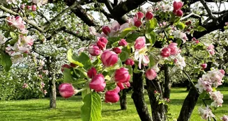 von_poll_real_estate_property_25214718_image_7