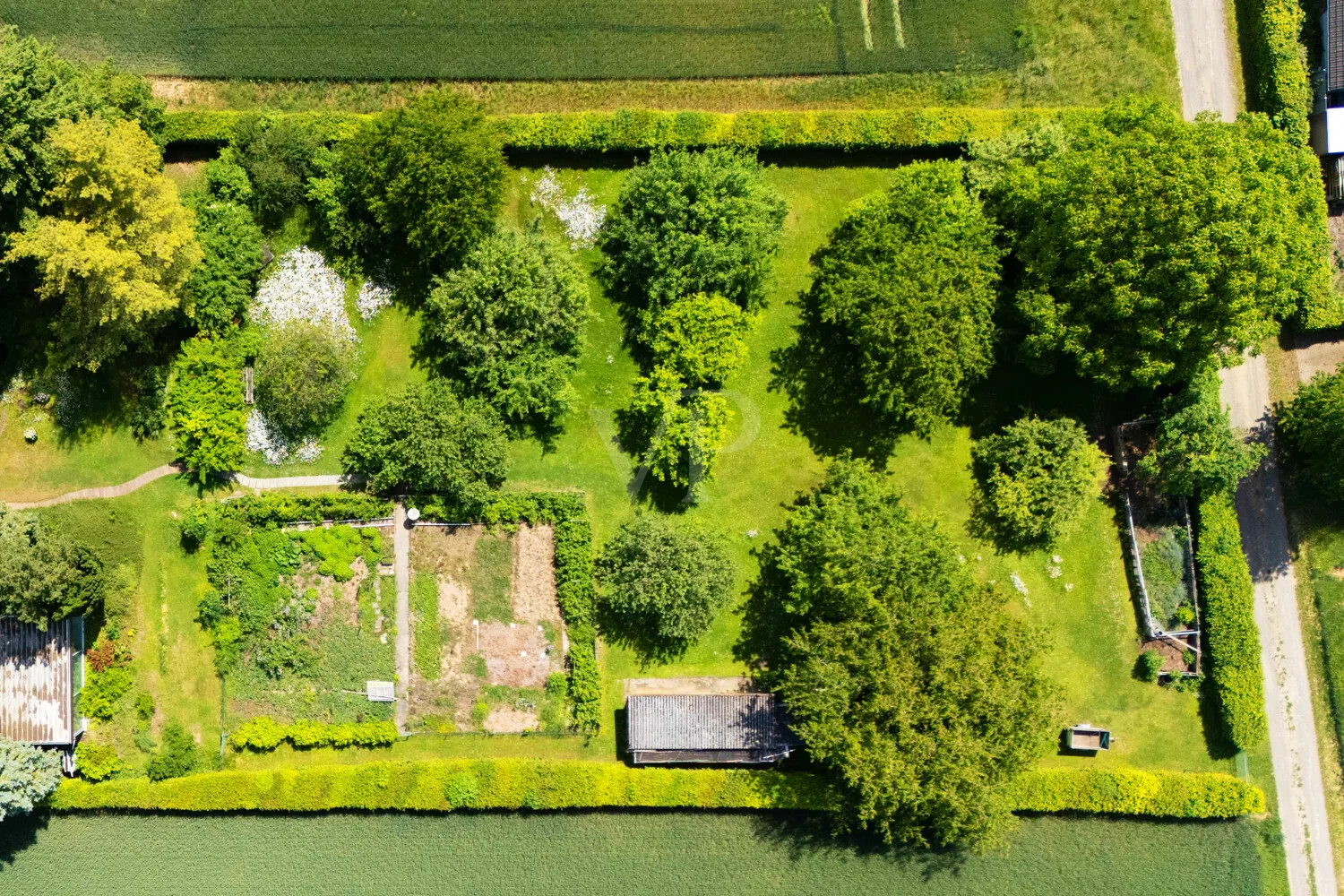 Luftansicht Grundstück mit Nutzgarten, Obstwiese und Gartenhäuschen