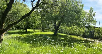 von_poll_real_estate_property_25214718_image_6