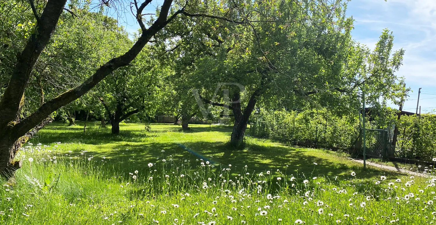 Blick auf Obstwiese und Nutzgarten