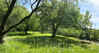 von_poll_real_estate_property_25214718_image_6