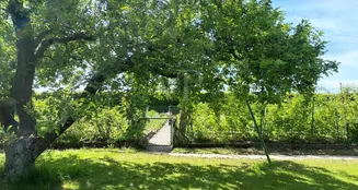 von_poll_real_estate_property_25214718_image_8