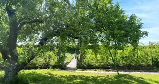 von_poll_real_estate_property_25214718_image_8