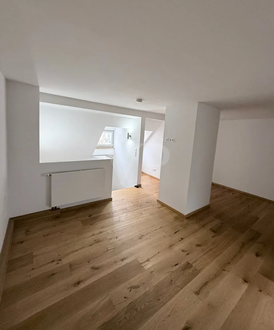 Neuwertige Maisonette mit XXL-Dachterrasse