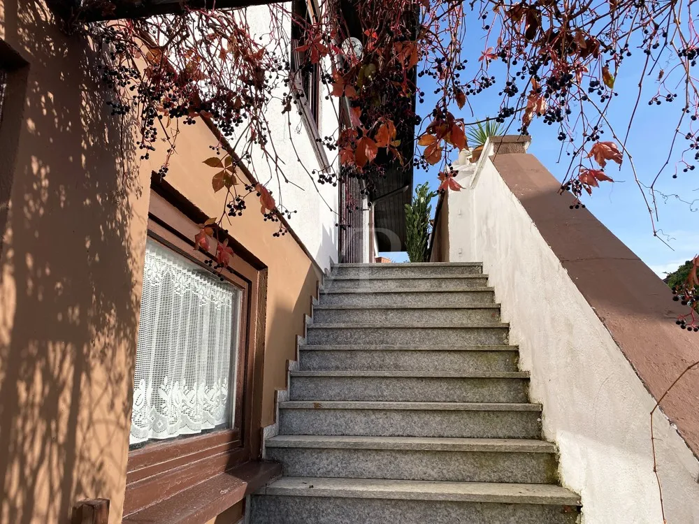 Familienleben am Ortsrand: Ausblick genießen, großzügig gestalten