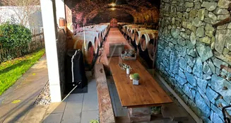 von_poll_real_estate_property_24200019_image_13