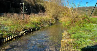 von_poll_real_estate_property_24200019_image_43