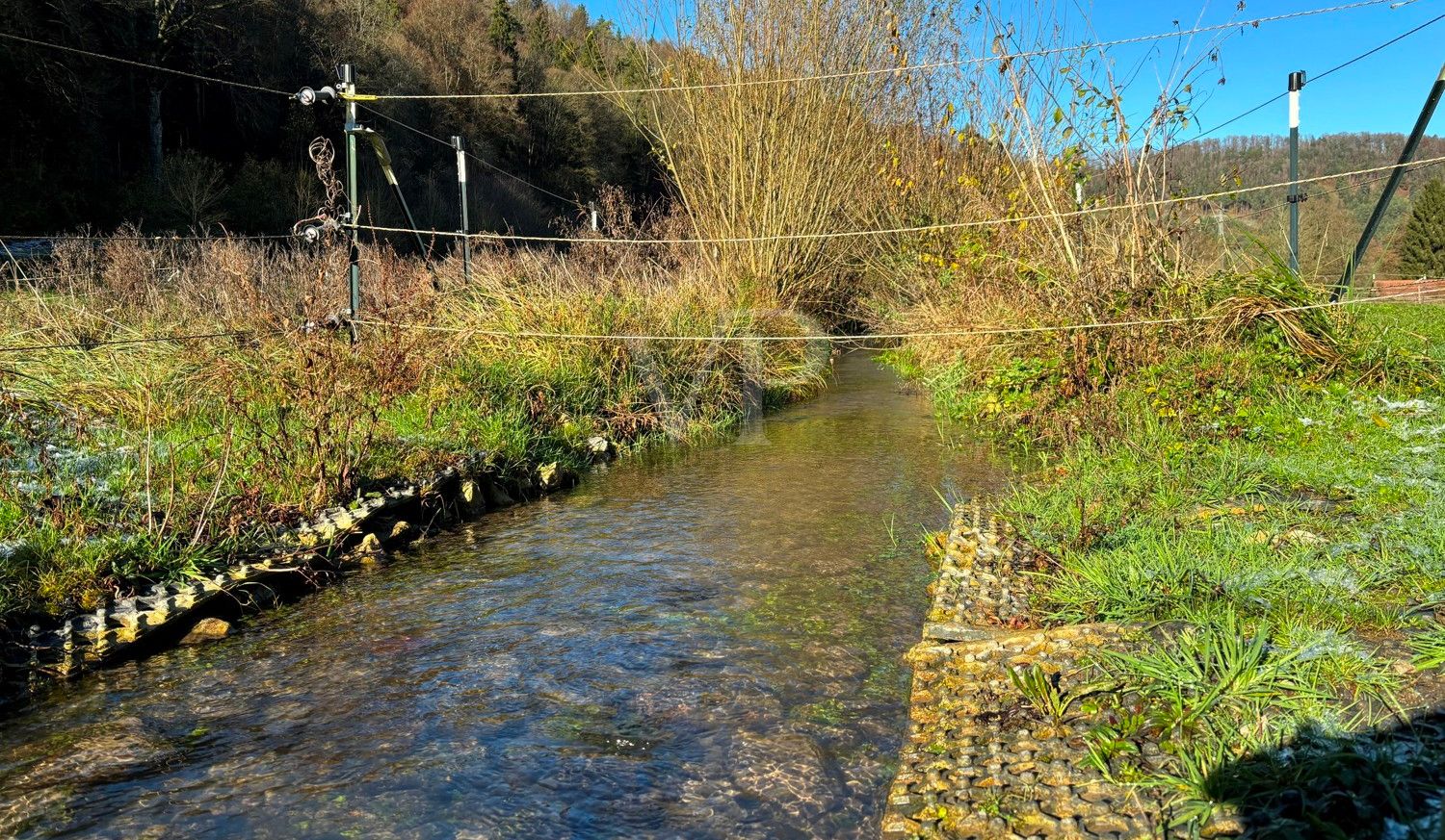 Isenburger Tälebach