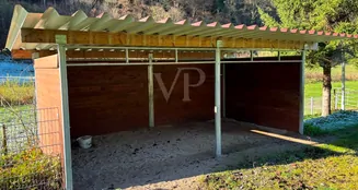 von_poll_real_estate_property_24200019_image_23