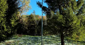 von_poll_real_estate_property_24200019_image_42