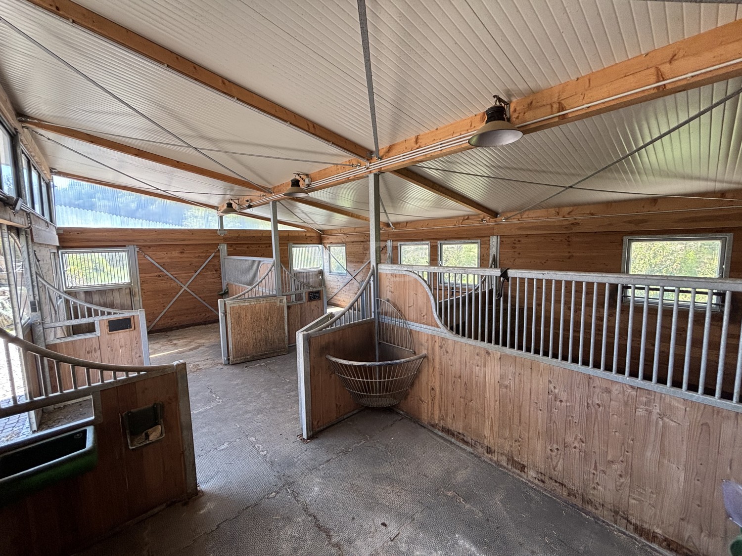Modernes Anwesen mit Reitanlage und 3,8 ha Pachtfläche