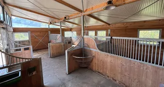 von_poll_real_estate_property_24200019_image_16