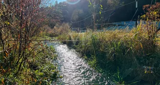 von_poll_real_estate_property_24200019_image_24