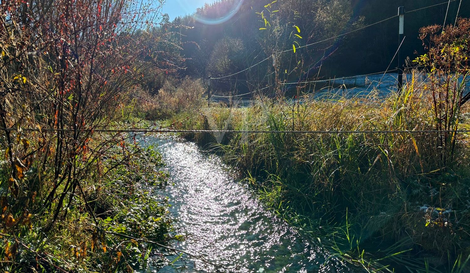 Isenburger Tälebach