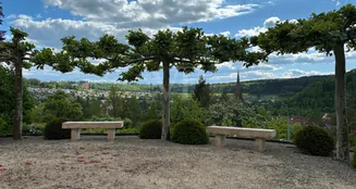 von_poll_real_estate_property_25200007_image_7