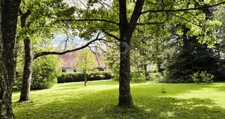 von_poll_real_estate_property_25200012_image_8