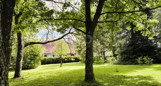 von_poll_real_estate_property_25200012_image_8