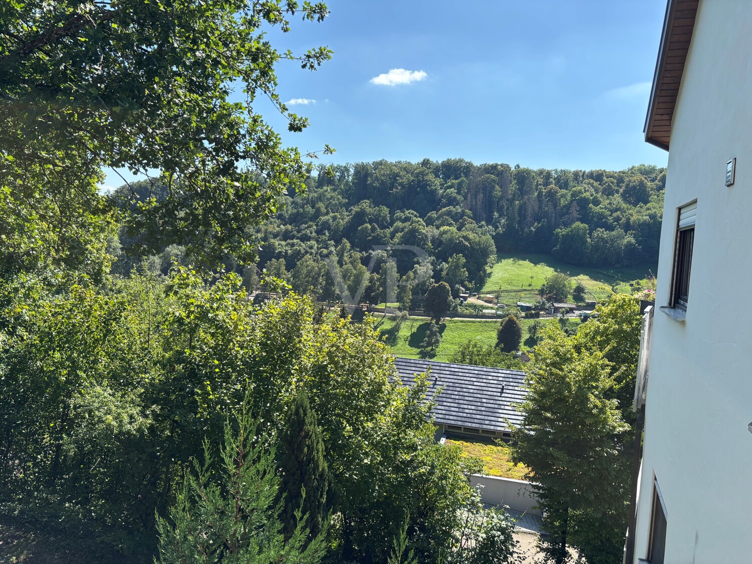 Aussicht (2)