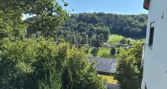 von_poll_real_estate_property_25200019_image_10