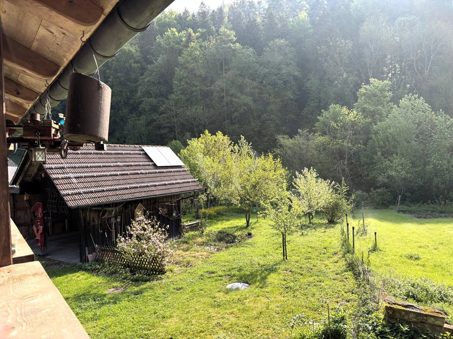 OG Blick in den Garten