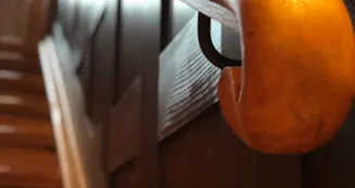 von_poll_real_estate_property_24296016_ZU_image_27