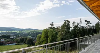 von_poll_real_estate_property_22201049_image_8