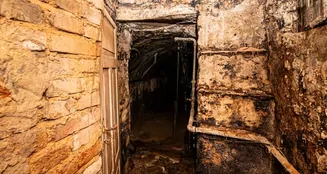 von_poll_real_estate_property_24201025_image_38