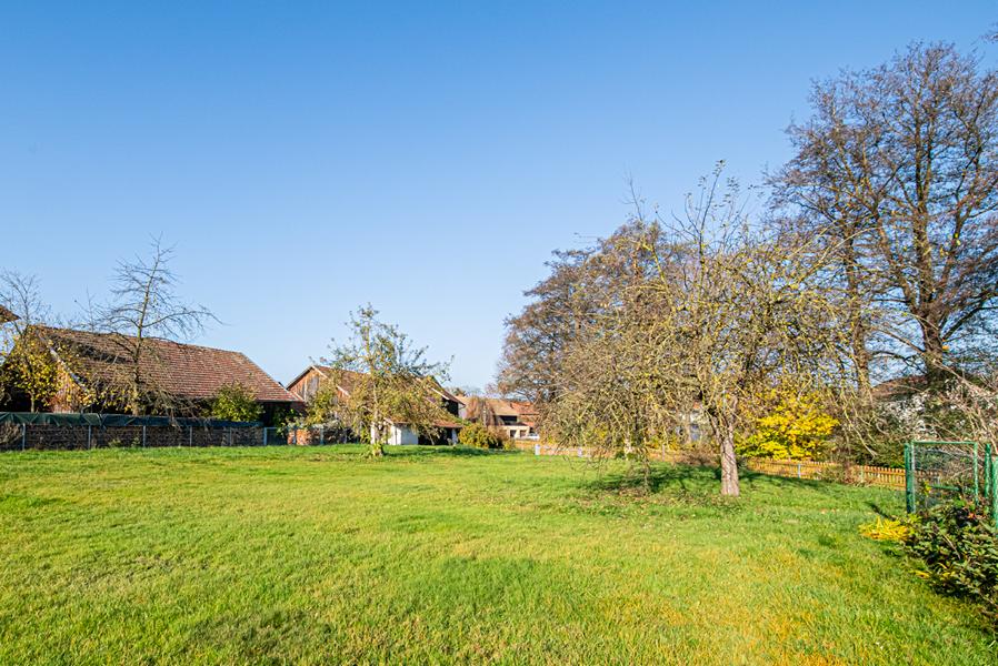 Garten bzw. bebaubare Fläche