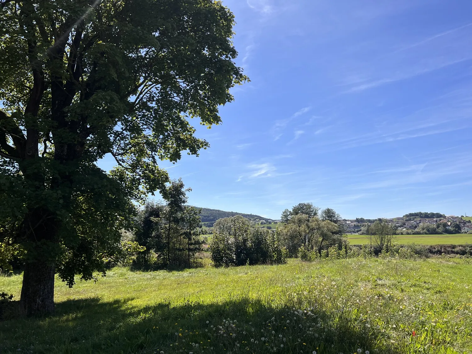 Ausblick auf Regental 1