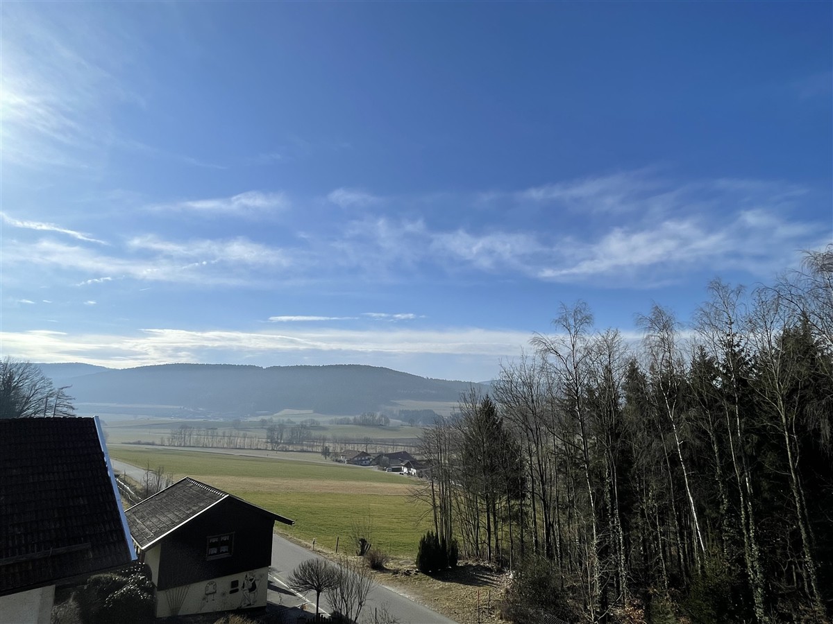 Ausblick