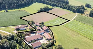 von_poll_real_estate_property_25201070_image_4