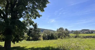 von_poll_real_estate_property_25201077_image_9