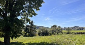 von_poll_real_estate_property_25201077_image_9