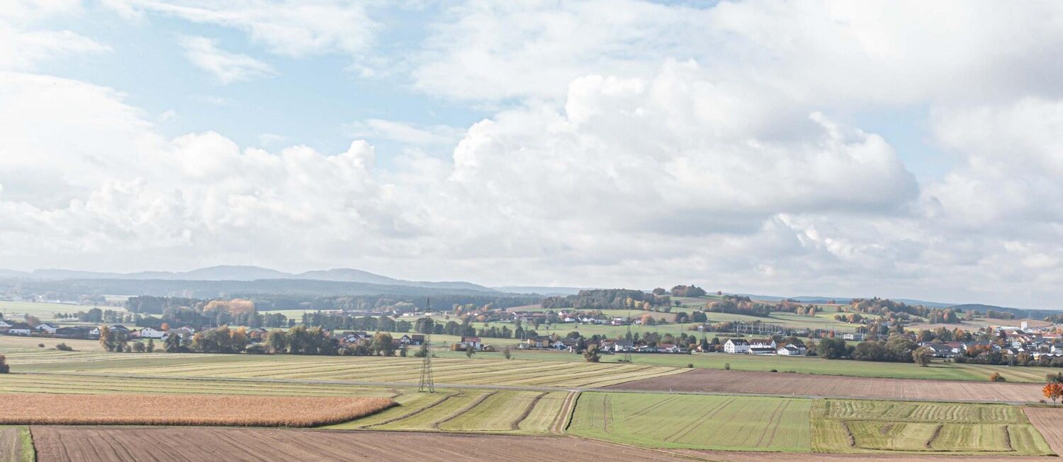 Fernblick