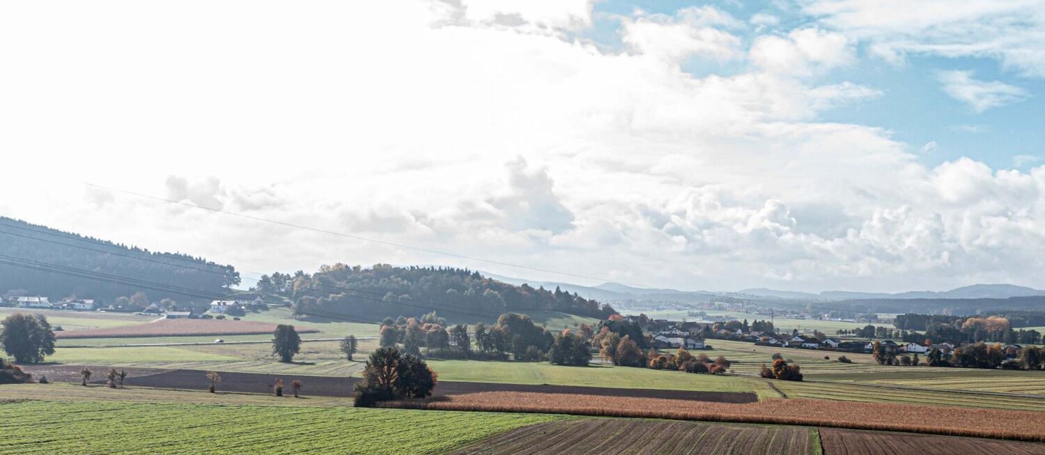 Fernblick