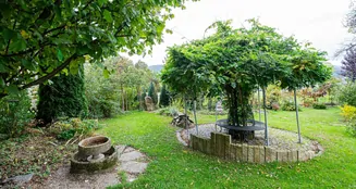 von_poll_real_estate_property_25201110_image_4