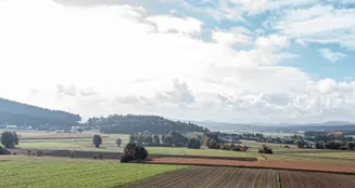 von_poll_real_estate_property_26201009_image_19