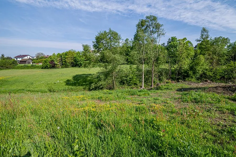 Das könnte Ihr Traumgrundstück in Stamsried werden