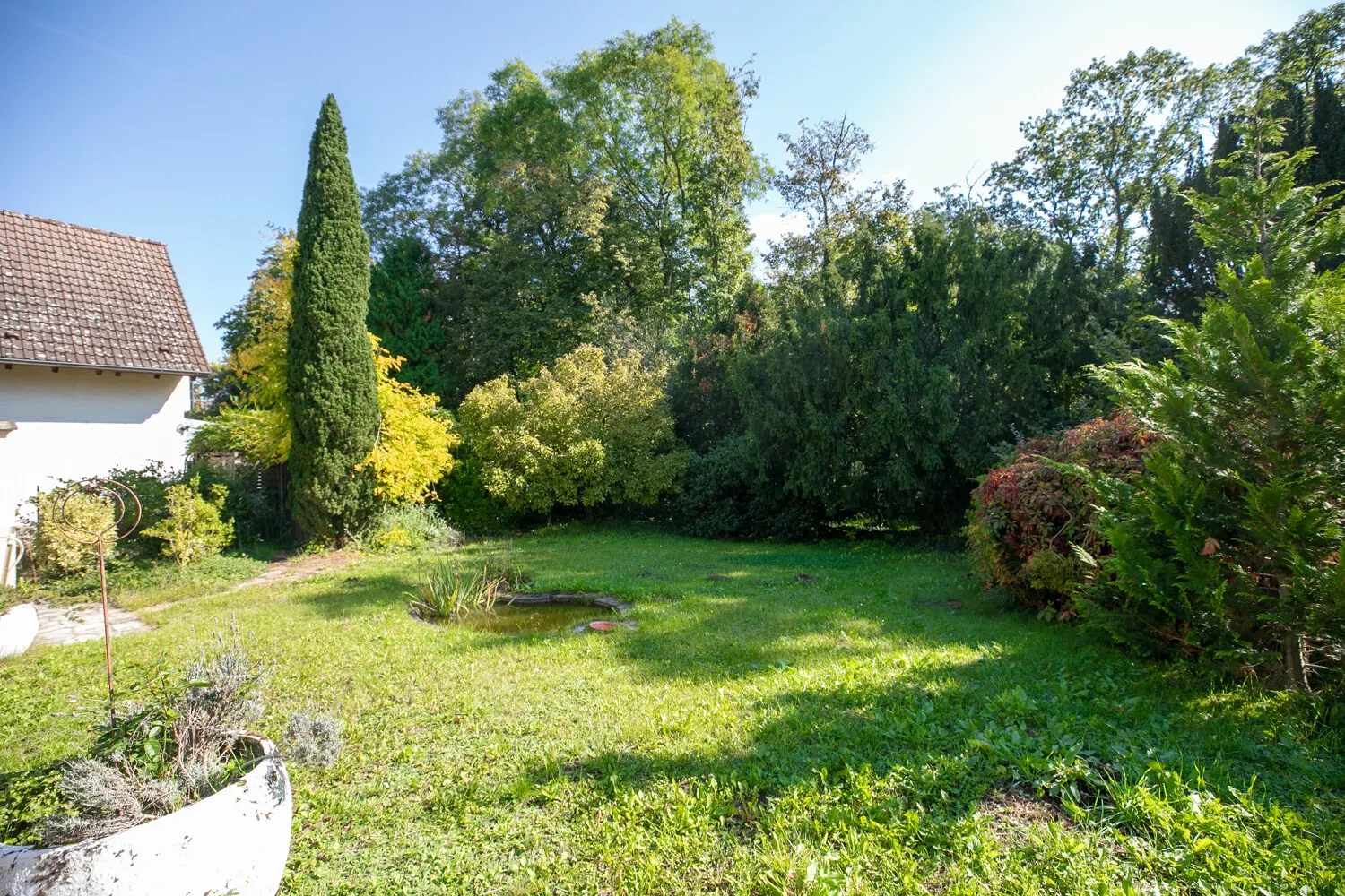 weitläufiger Garten