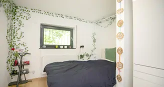 von_poll_real_estate_property_25059031_image_19