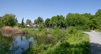 von_poll_real_estate_property_25059031_image_23