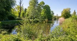 von_poll_real_estate_property_25059031_image_24