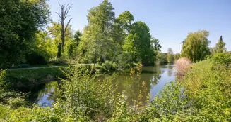 von_poll_real_estate_property_25059031_image_24