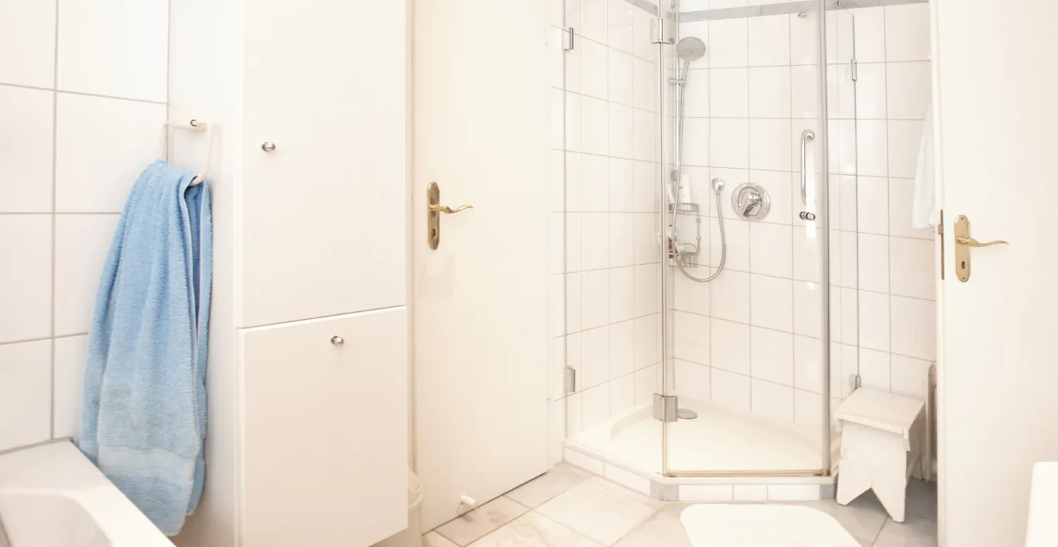 Tageslichtbadezimmer Erdgeschoss (II)