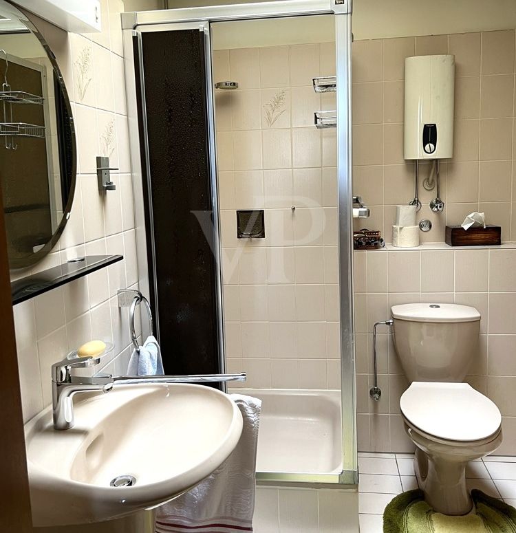 Gäste-WC mit Dusche