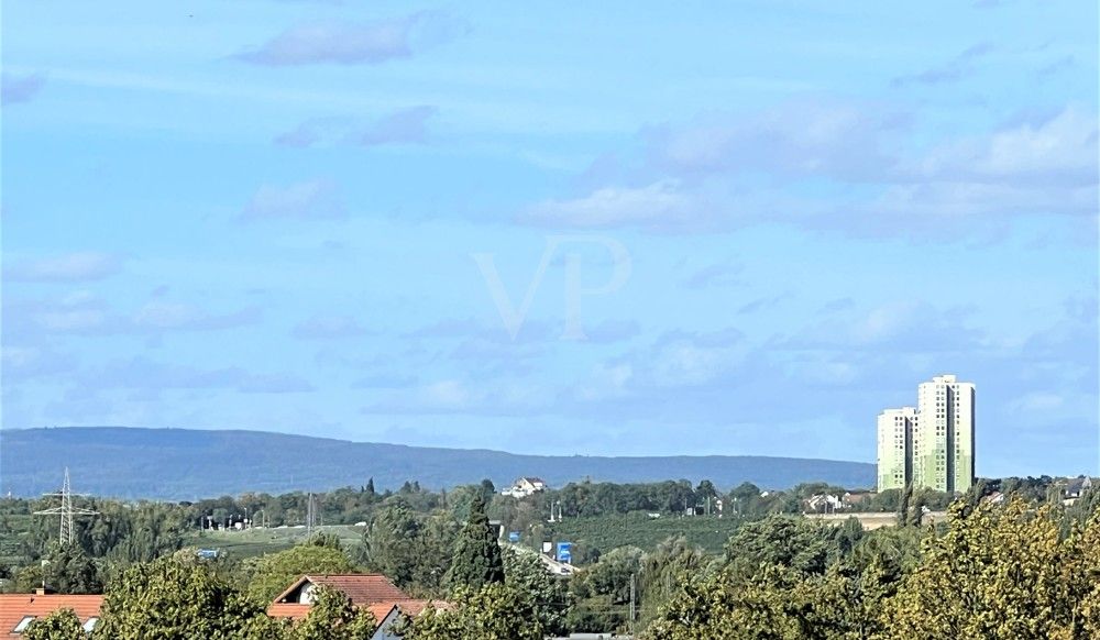 Blick von der  Terrasse II