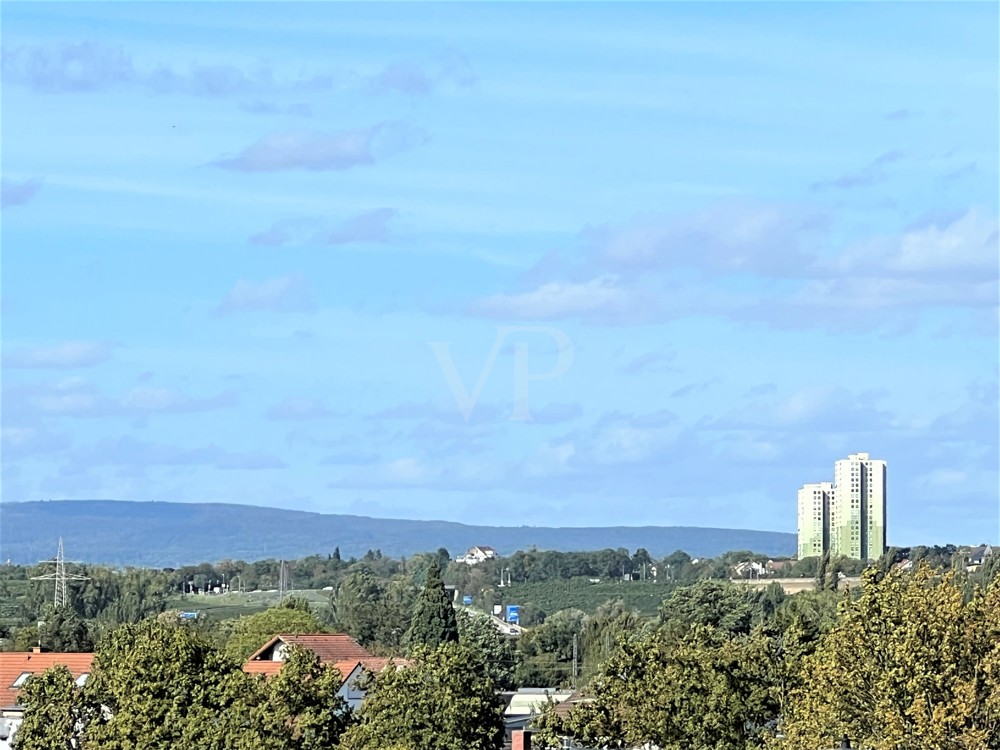 Blick von der  Terrasse II